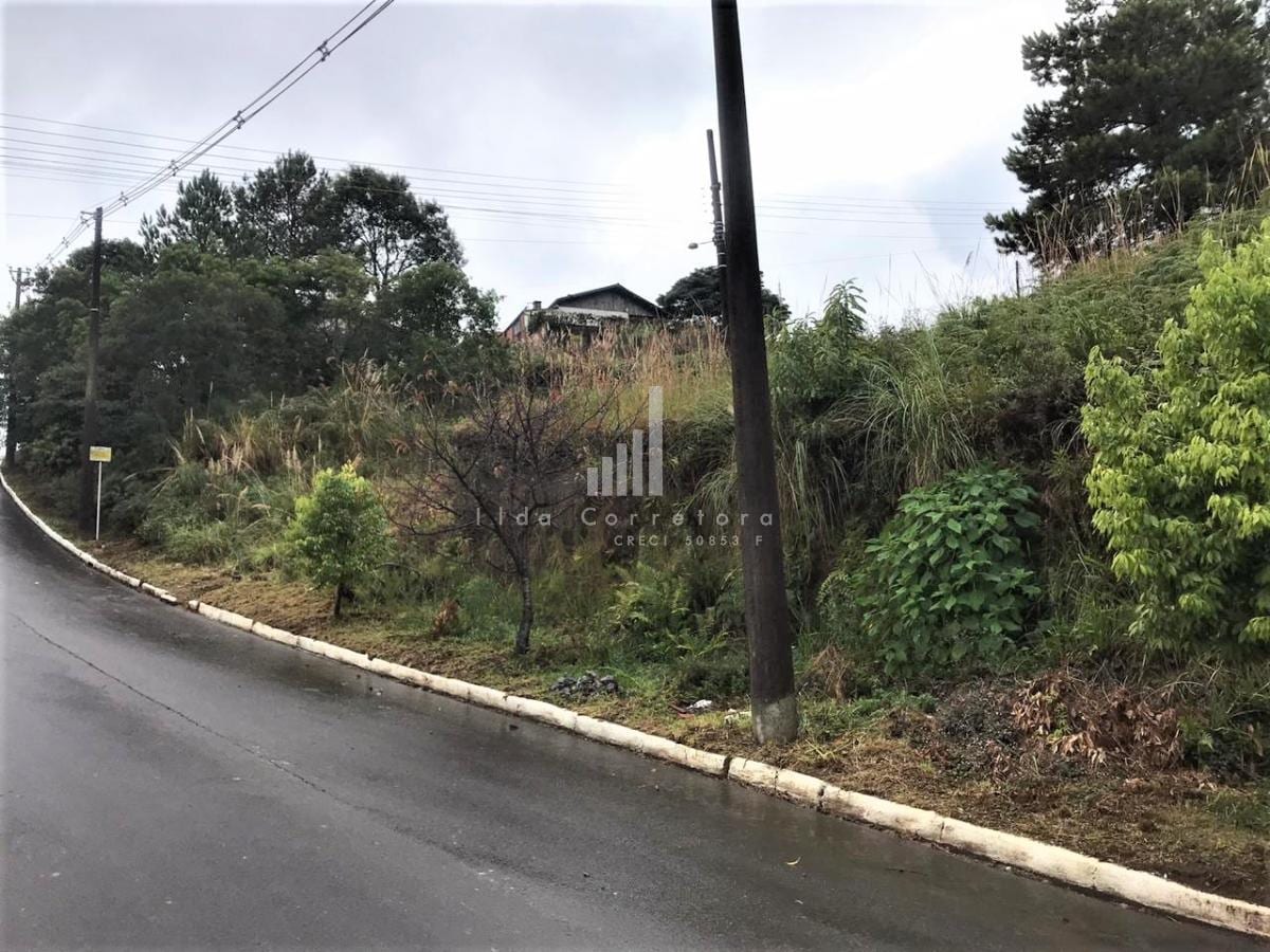 Terreno para Venda em Farroupilha / RS no bairro São Francisco