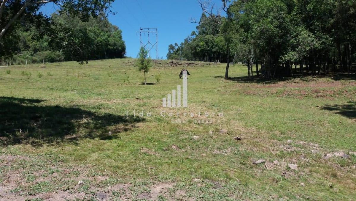 Chácara para Venda em Farroupilha / RS no bairro Interior