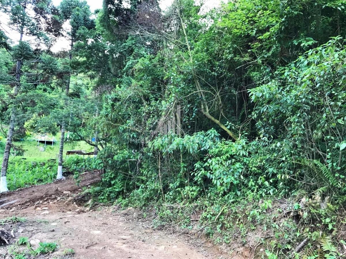 Área para Venda em Farroupilha / RS no bairro Interior