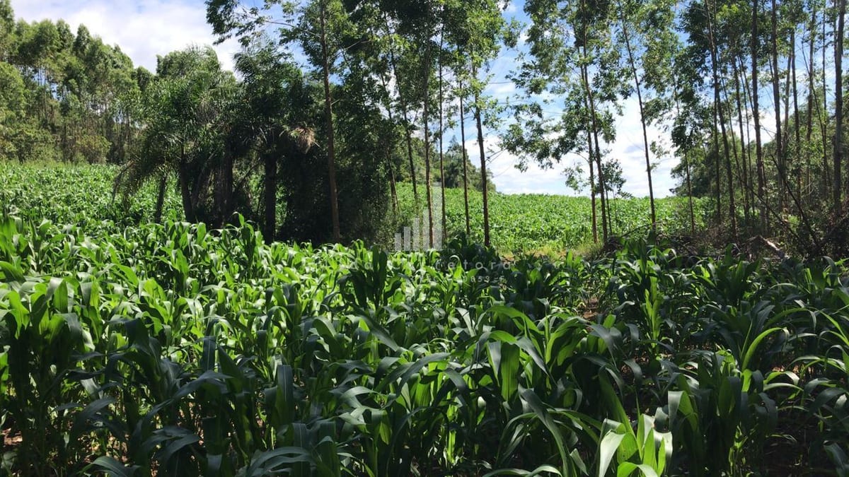 Área para Venda em Farroupilha / RS no bairro Interior